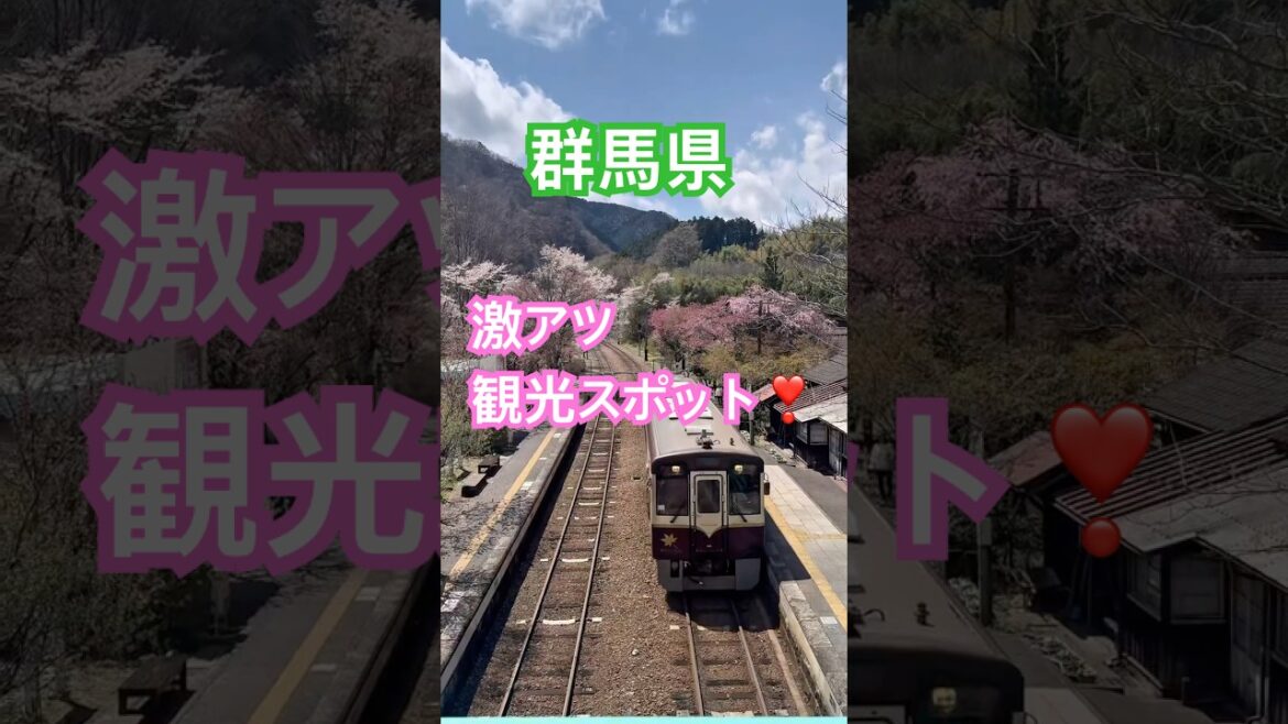 群馬　ごうど（神戸）、花桃街道が今、熱い‼️#群馬　#花見 #観光名所