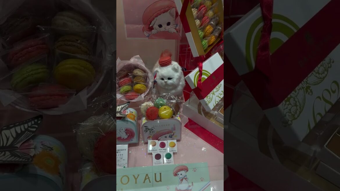 UNDERGROUND FOOD STREET in Tokyo Japan