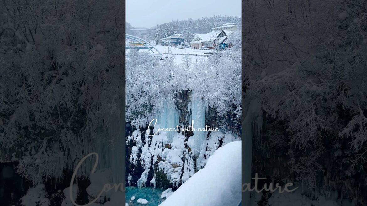 Hokkaido nature scene #hokkaido #travel #snow