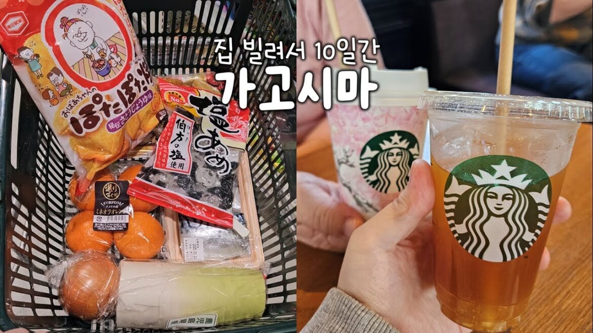 일본 브이로그 | 시티뷰 버스 타고 가고시마 여행하기 (센간엔, 시로야마공원전망대), 가고시마 흑소 샤브샤브, 마트 장보기, 고등어 조림, 편의점 스무디