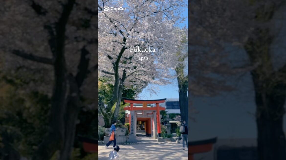 Don’t Miss Fukuoka in Spring #travel #japan #fukuoka Don’t Miss Fukuoka in Spring #travel #japan #fukuoka