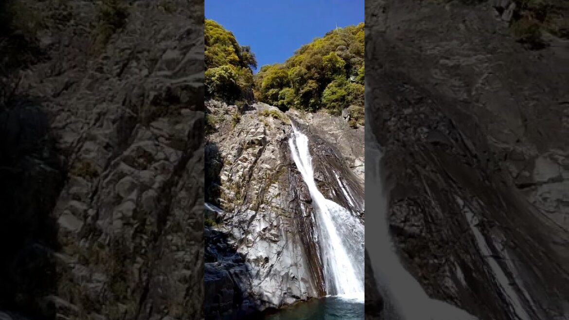 神戸三宮・新神戸、布引の滝は観光のみならず地元の方も散歩がてらに利用されています #waterfall #kobe #tiktokvideo #兵庫県 #神戸市 #ハイキング #雄滝 #雌滝 #生田川