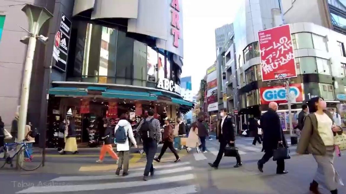 🔴Made Cafe Tokyo 24/7🐶池袋, 秋葉原, 新宿 ,etc.