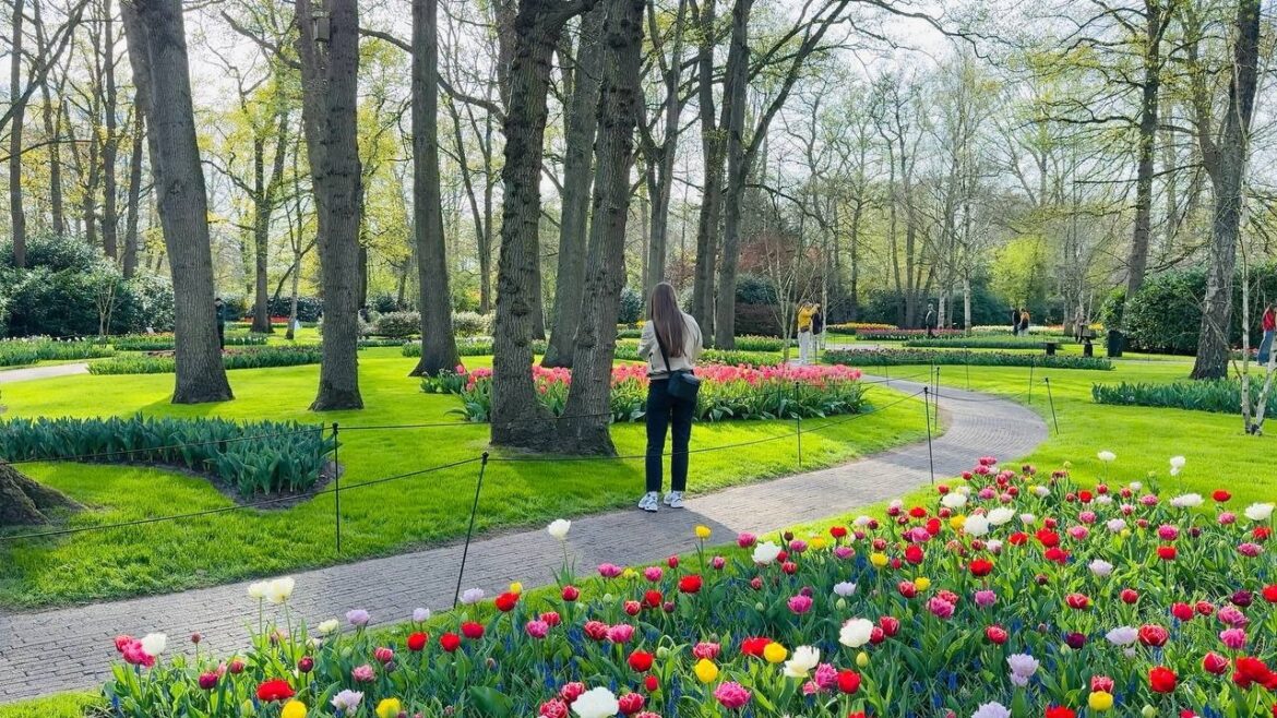 Keukenhof: The Most Beautiful Place in the Netherlands, Where Spring Comes to Life Keukenhof: The Most Beautiful Place in the Netherlands, Where Spring Comes to Life
