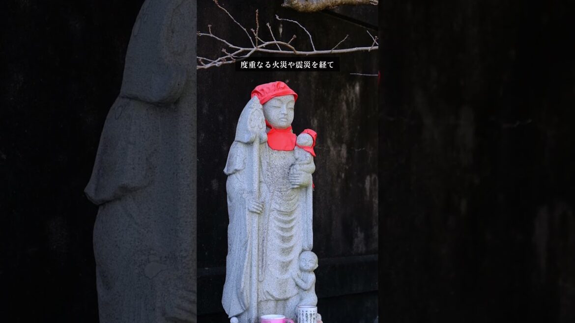 【房総半島】船形山大福寺［崖観音］#房日新聞#船形山大福寺#崖観音#館山