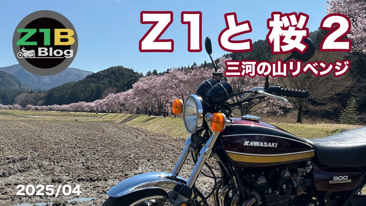 Z1と桜２ 三河の山リベンジ【202504】