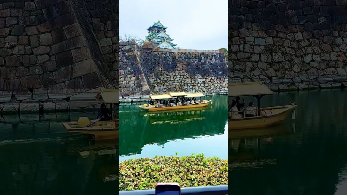 Osaka Castle🏯 view😍#japan #travel #trendingshorts #osaka #osakacastle #大阪  #おすすめ #大阪府