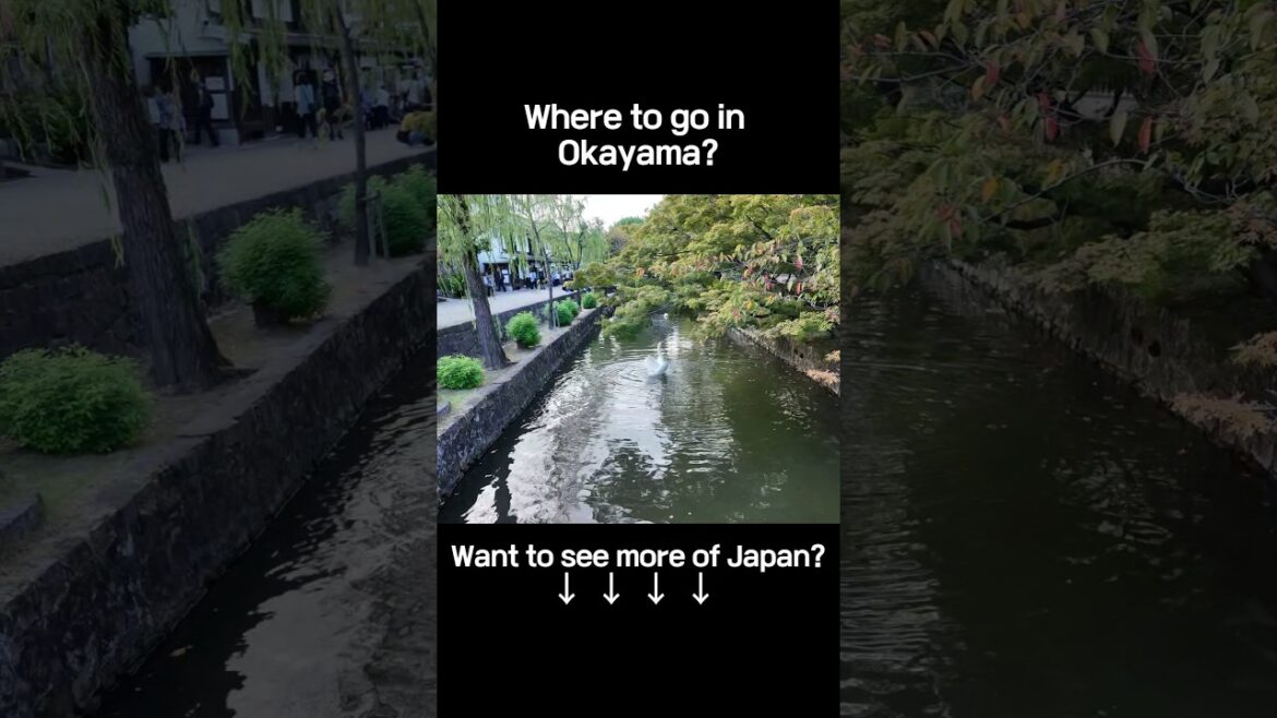 Kurashiki Bikan - Picture-Perfect Japan #ScenicJapan #KurashikiBeauty #0ld TownVibes