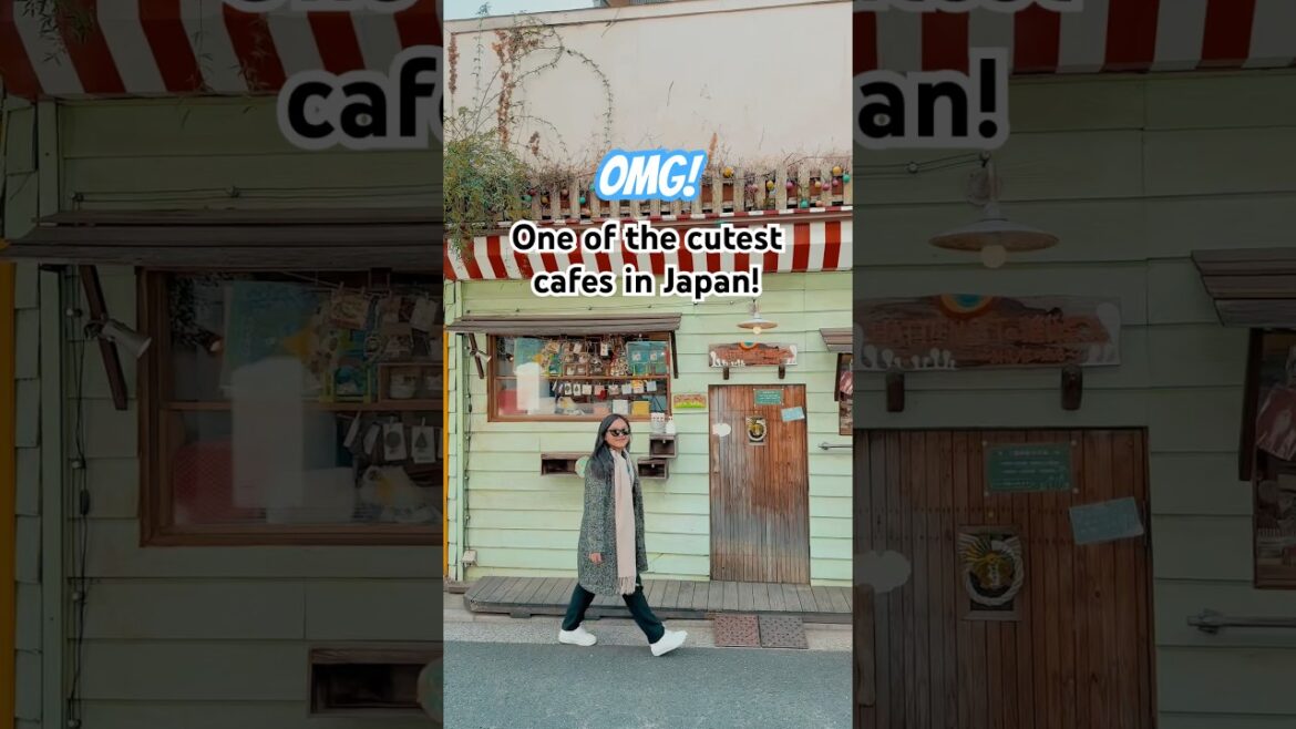 SUPER CUTE CAFE IN TOKYO (location in comments) #japan #travel #cafe #tokyo #kawaii