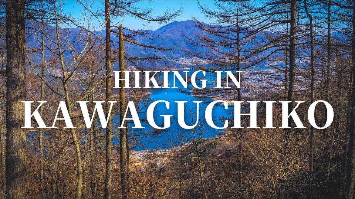 Day 78: Aokigahara & Kawaguchiko – Tokai Nature Trail 東海自然歩道 #mtfuji #aokigahara #kawaguchiko Day 78: Aokigahara & Kawaguchiko - Tokai Nature Trail 東海自然歩道 #mtfuji #aokigahara #kawaguchiko