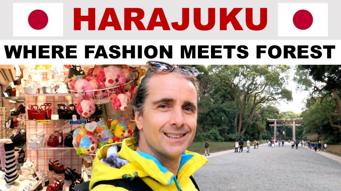 A tour of HARAJUKU, Tokyo, Japan - Takeshita Street & Meiji Shrine!