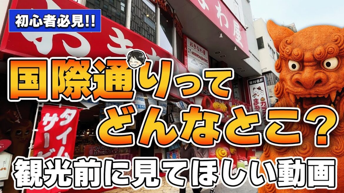 【初心者向け】国際通りってどんなとこ?沖縄旅行前に見てほしい動画 【初心者向け】国際通りってどんなとこ?沖縄旅行前に見てほしい動画