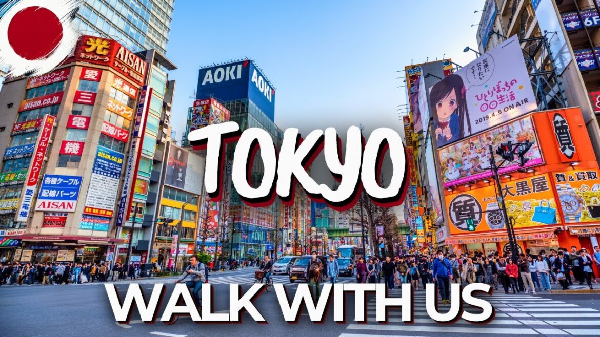Tokyo Walking Tour – Shinjuku, Ginza & Hidden Corners of Japan’s Capital 🇯🇵🌆 Tokyo Walking Tour – Shinjuku, Ginza & Hidden Corners of Japan’s Capital 🇯🇵🌆