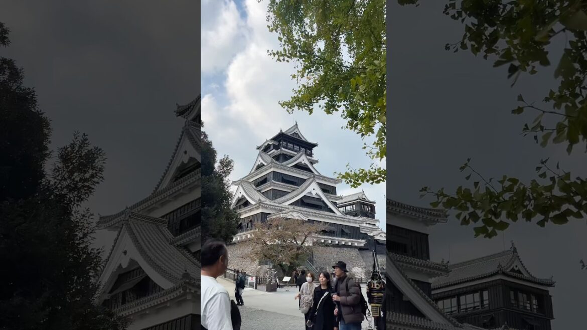 All about #kumamoto #kumamotocastle #luffystatue #japan #fukuoka #solotravel