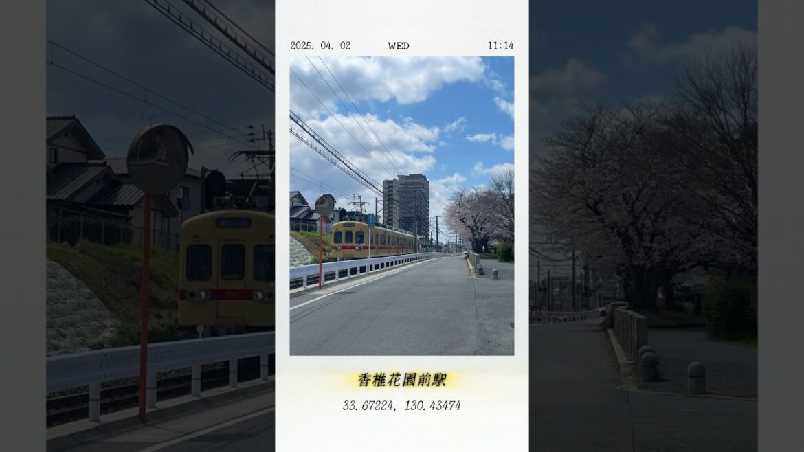 롤러스케이트로 후쿠오카에서 도쿄까지 [日本.a]