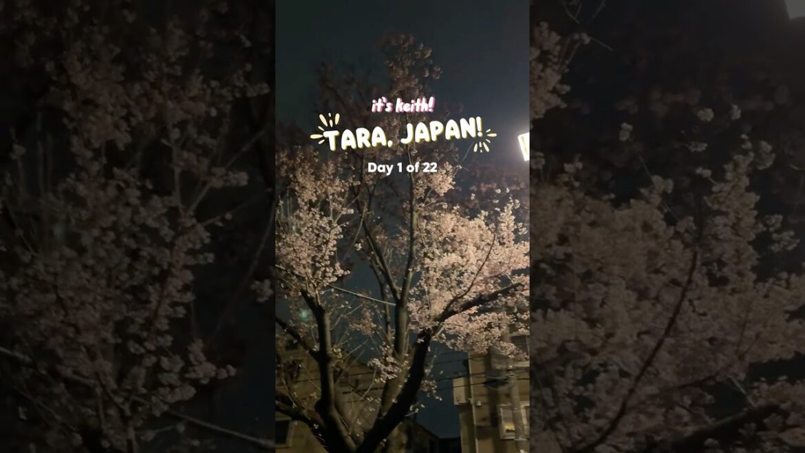 Japan Vlog 1/22: Airport Day & First Sakura Sighting 🌸