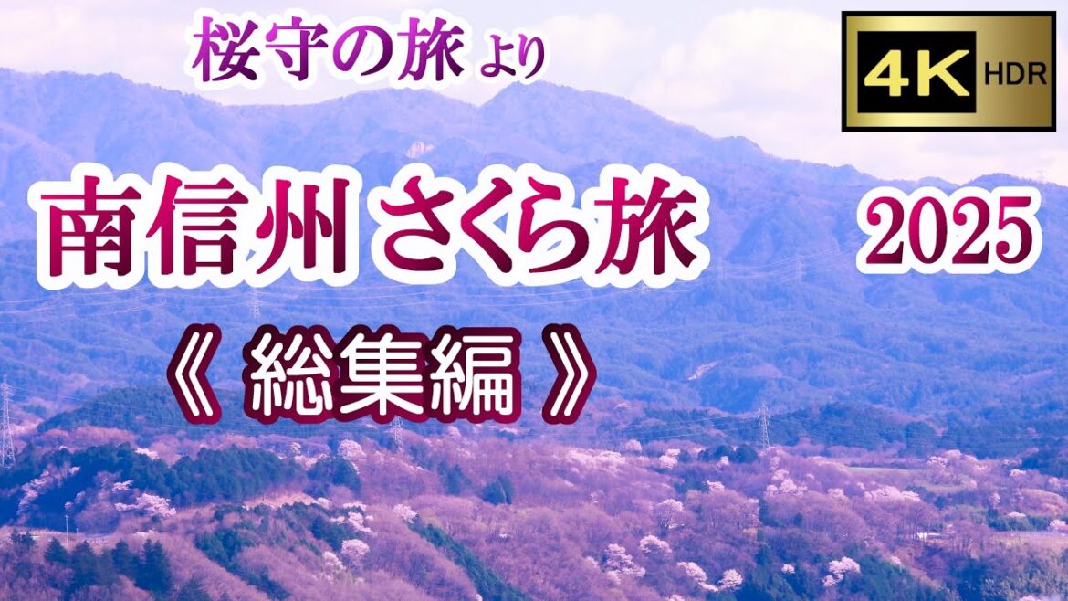 南信州さくら旅 2025  《総集編》 【4K】  ♣～ 桜守の旅より ～♣