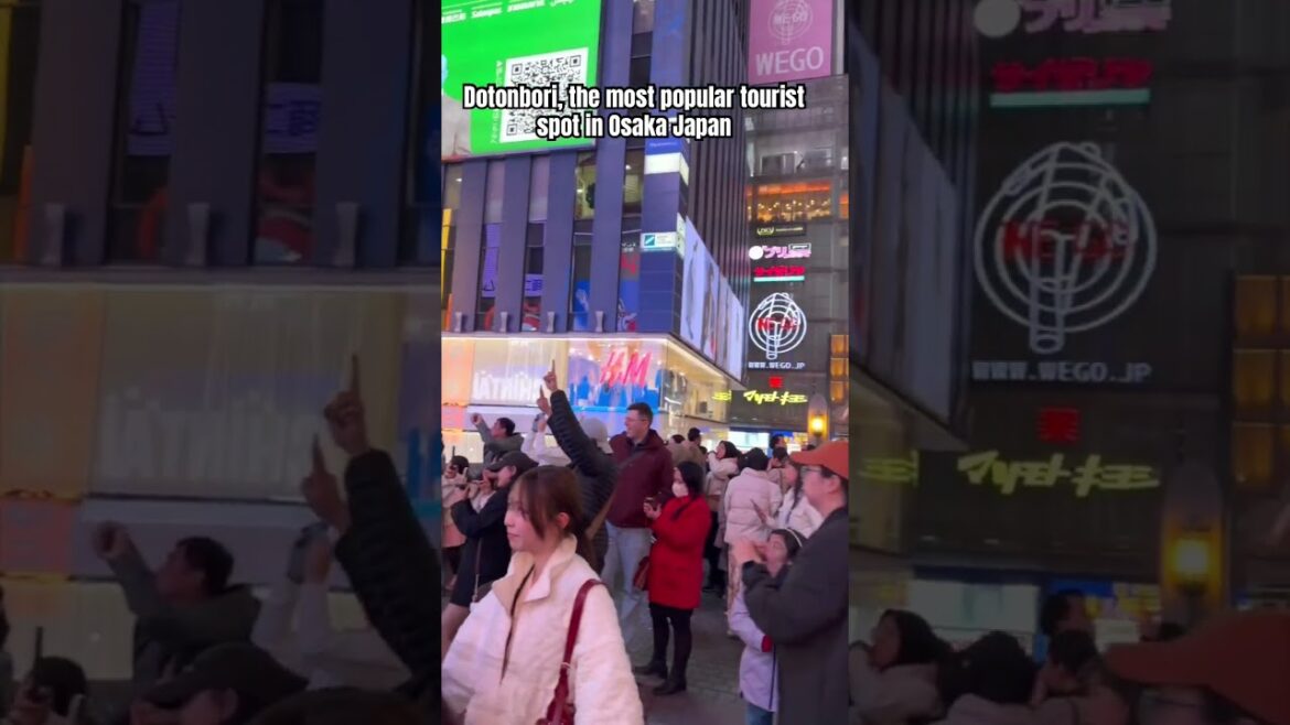 The best place in Osaka for shopping & food #Dotonbori #touristplace #osaka #japan #traveltojapan The best place in Osaka for shopping & food #Dotonbori #touristplace #osaka #japan #traveltojapan