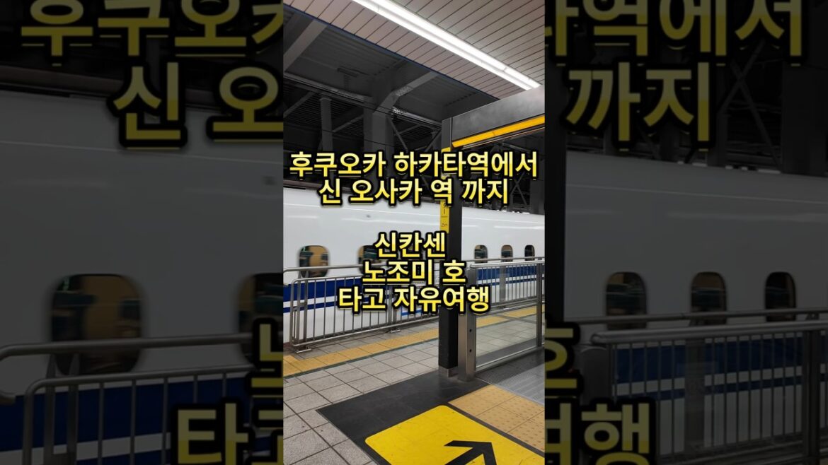 일본 신칸센 기차 여행 후쿠오카 하카타역에서 오사카 신오사카 역까지 #일본기차여행 #신칸센