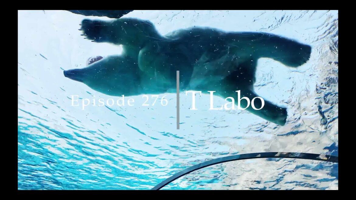 2025年3月　北海道の旅二日目の様子。＃円山公園＃円山動物園＃北海道神社＃薄野喫茶パープルダリア