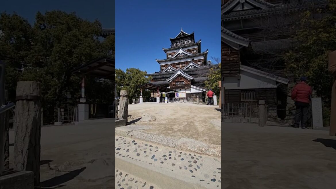 Hiroshima Castle 2023 2 #japan #castle #hiroshima