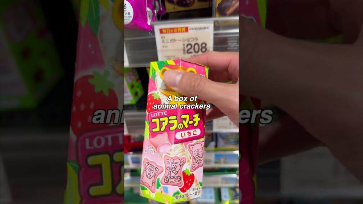 What Can $1 Buy in Japan? | Snacks | Grocery Shopping in Japan🇯🇵 What Can $1 Buy in Japan? | Snacks | Grocery Shopping in Japan🇯🇵