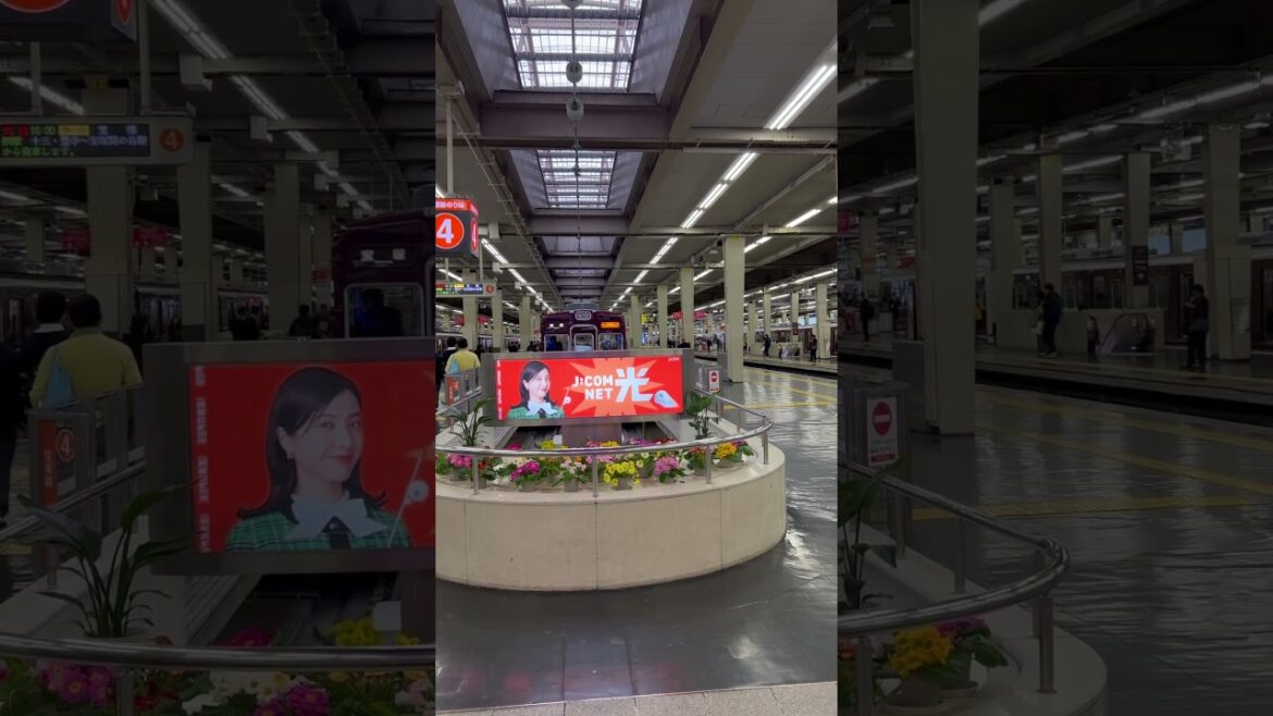 【OSAKA】Everyday Common Scene - Umeda station