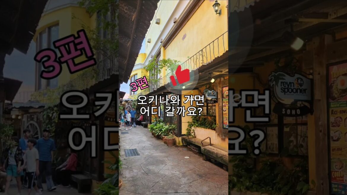 오키나와 가면 어디 갈까요?(3편)#오키나와#Okinawa