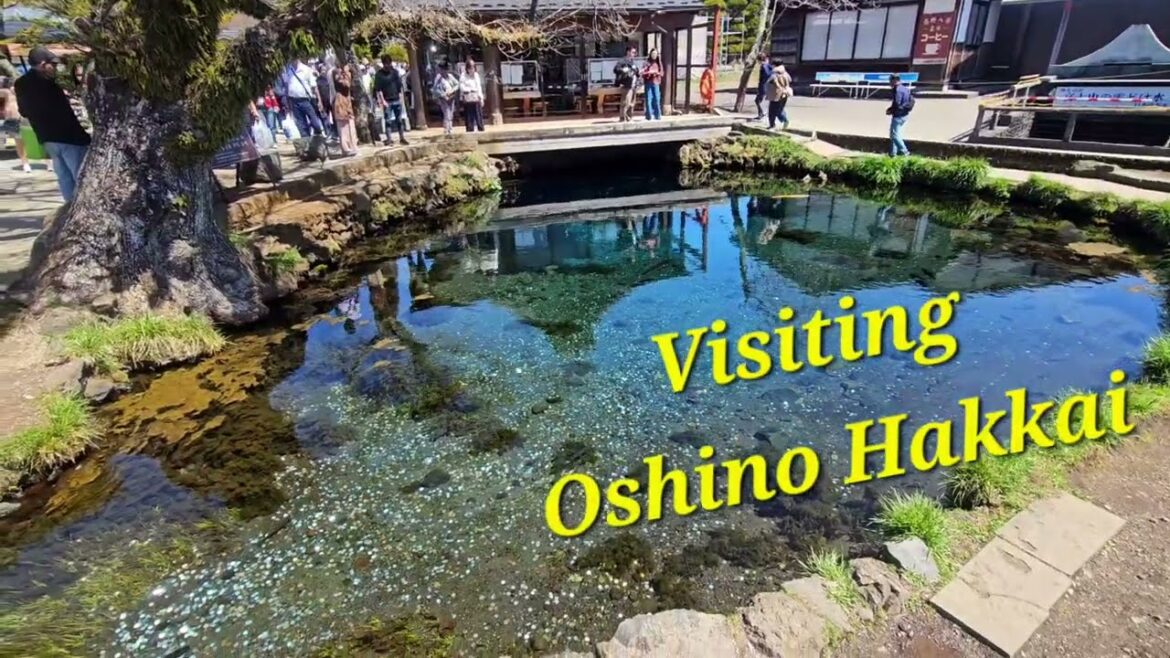 Visiting OSHINO  HAKKAI