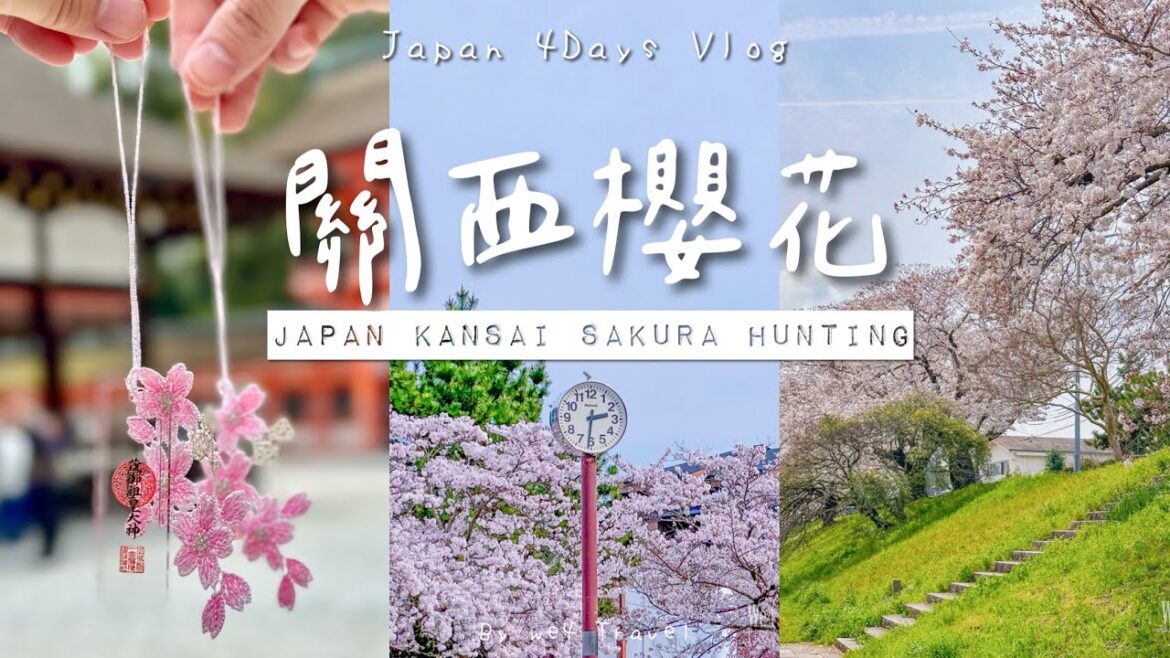 🇯🇵96小時在日本關西賞櫻🌸京都、神戶、大阪櫻花旅行 / 4Days Sakura Hunting in Japan Kansai