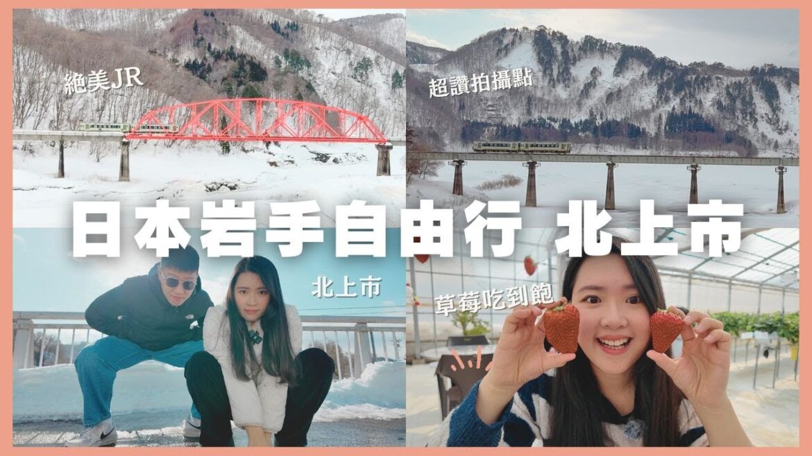 日本岩手自由行:完全沒人的草莓吃到飽!JR北上線絕美雪景🚃|虎航花卷進出 日本岩手自由行:完全沒人的草莓吃到飽!JR北上線絕美雪景🚃|虎航花卷進出