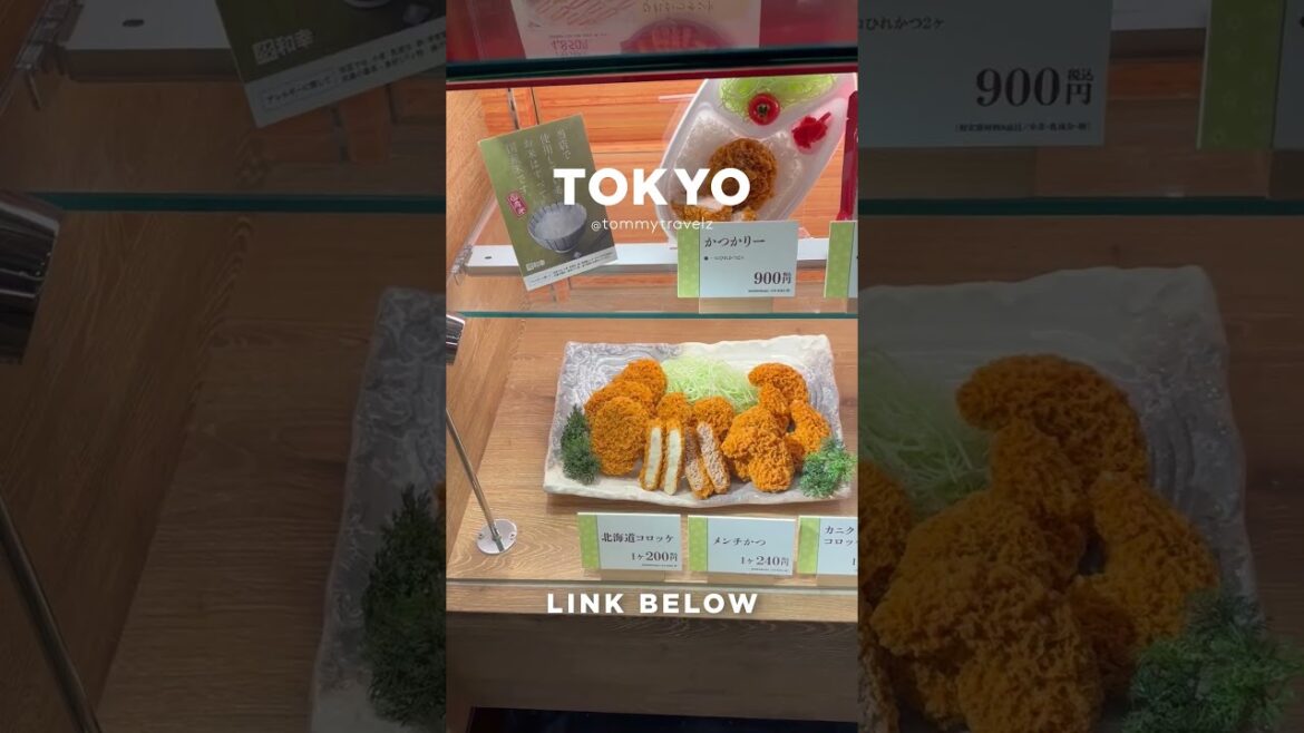 #tokyo #osaka #ohtani #kyoto #shibuya #ginza #onsen #shinjuku #soba #ramen #tokyotravel #japan