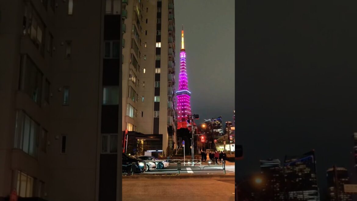 #Japan #streets! ❤️  #vacation #osaka #kyoto #amanohashidate #tokyo #itsukushima #kawaguchiko #nara