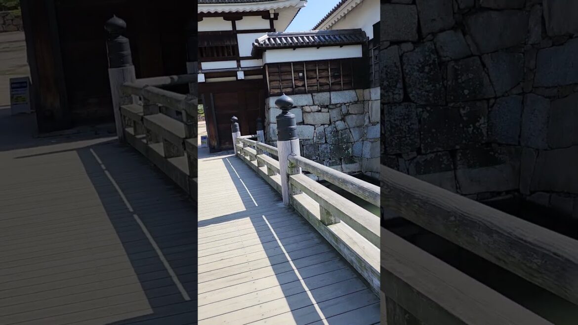 Hiroshima Castle 2023 1 #japan #castle #hiroshima