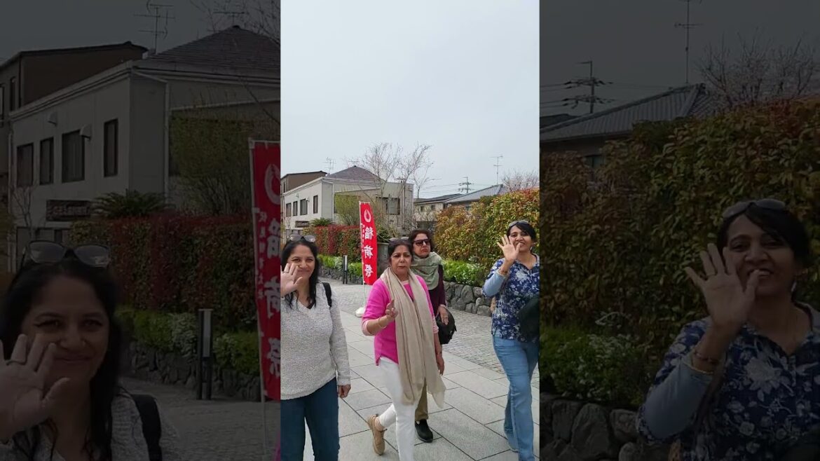 Inari Shrine Kyoto Japan#kyototravel ##inarishrine #tourguiding #japantravelguide#japantouristguide