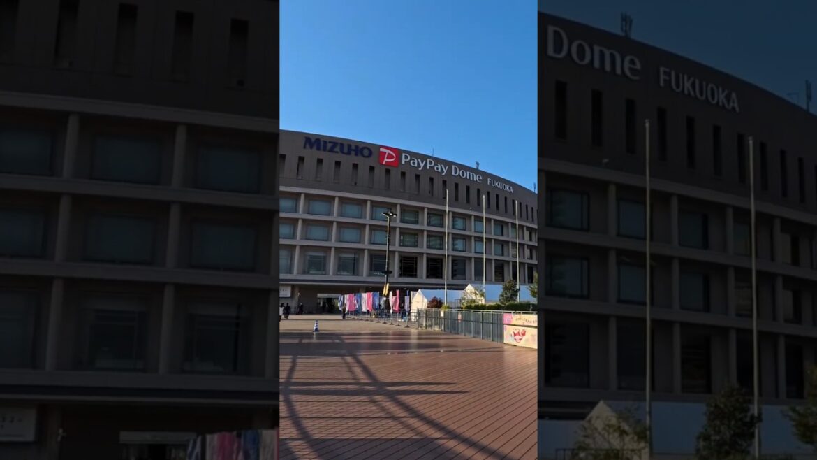 Spring Stroll around Fukuoka PayPay Dome 🌸 | Views of Hilton Fukuoka Sea Hawk and Fukuoka Tower