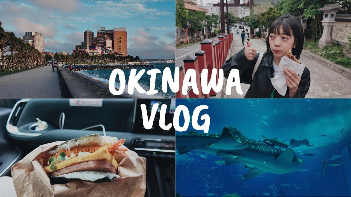 沖繩自由行 VLOG 🏖️｜跑遍美麗海水族館、古宇利島、美國村、國際通、瀨長島，還有必吃沖繩麵＆飯糰 🍙