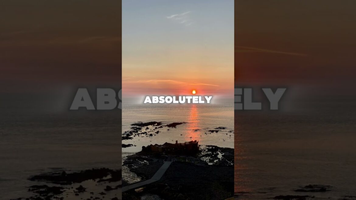 Resort Shirakami – The Scenic Train Through Tohoku’s Wilderness #japan #train #travelshorts Resort Shirakami – The Scenic Train Through Tohoku’s Wilderness #japan #train #travelshorts