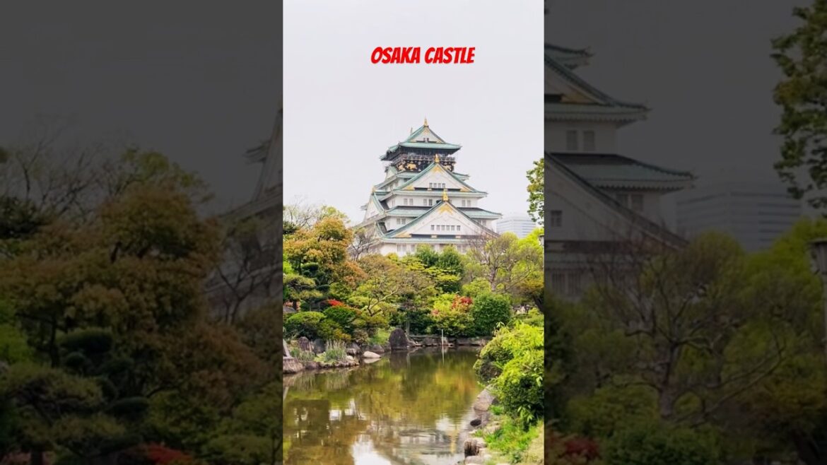 Samurai Legacy at Osaka Castle Samurai Legacy at Osaka Castle