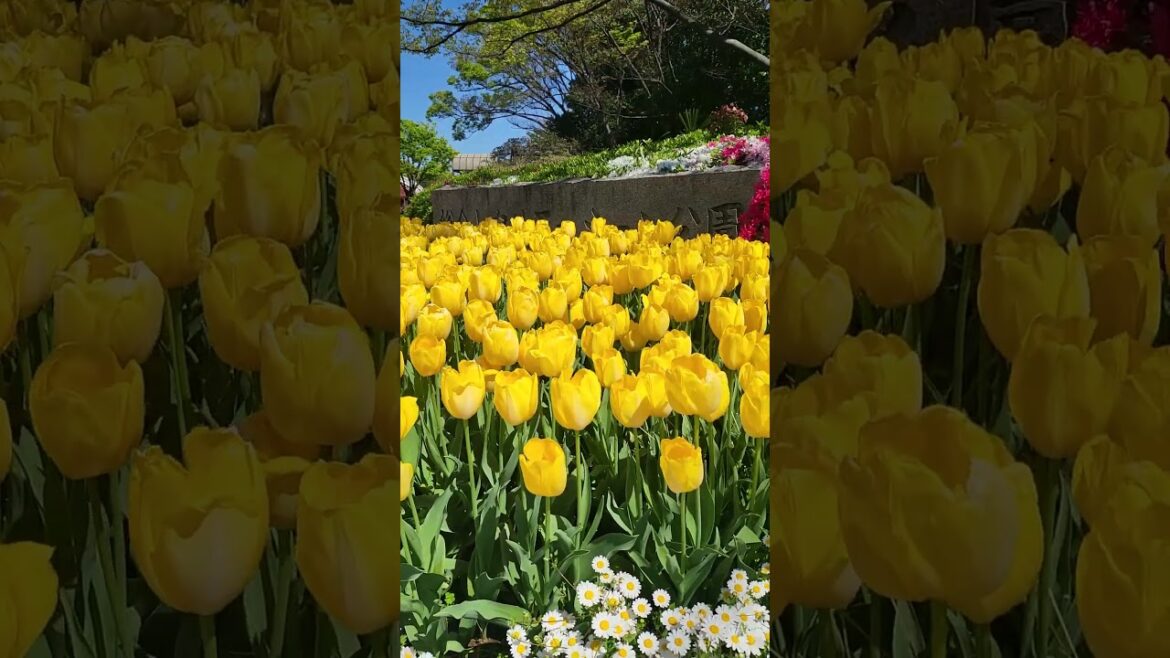 Flower Garden Edogawa Tokyo #japantouristguide #tourguiding #japantravelguide #alttravels #Edogawaku