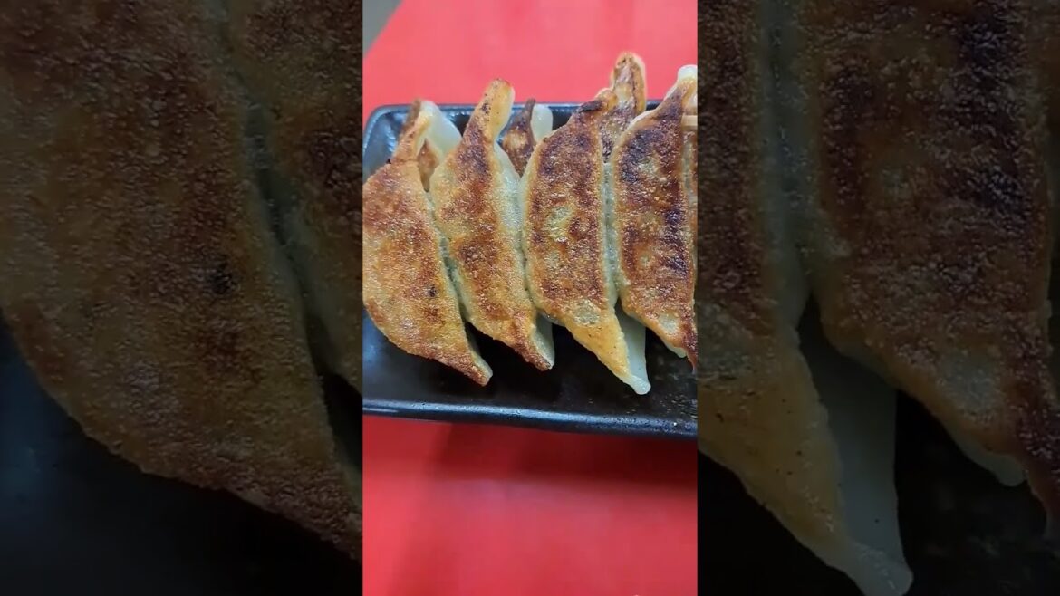 たまキューの旅(東北編5)#福島市 #ぎょうざ #餃子 #焼き餃子 #リラックマ #りらむね店長 #チャンネル登録と高評価お願いします