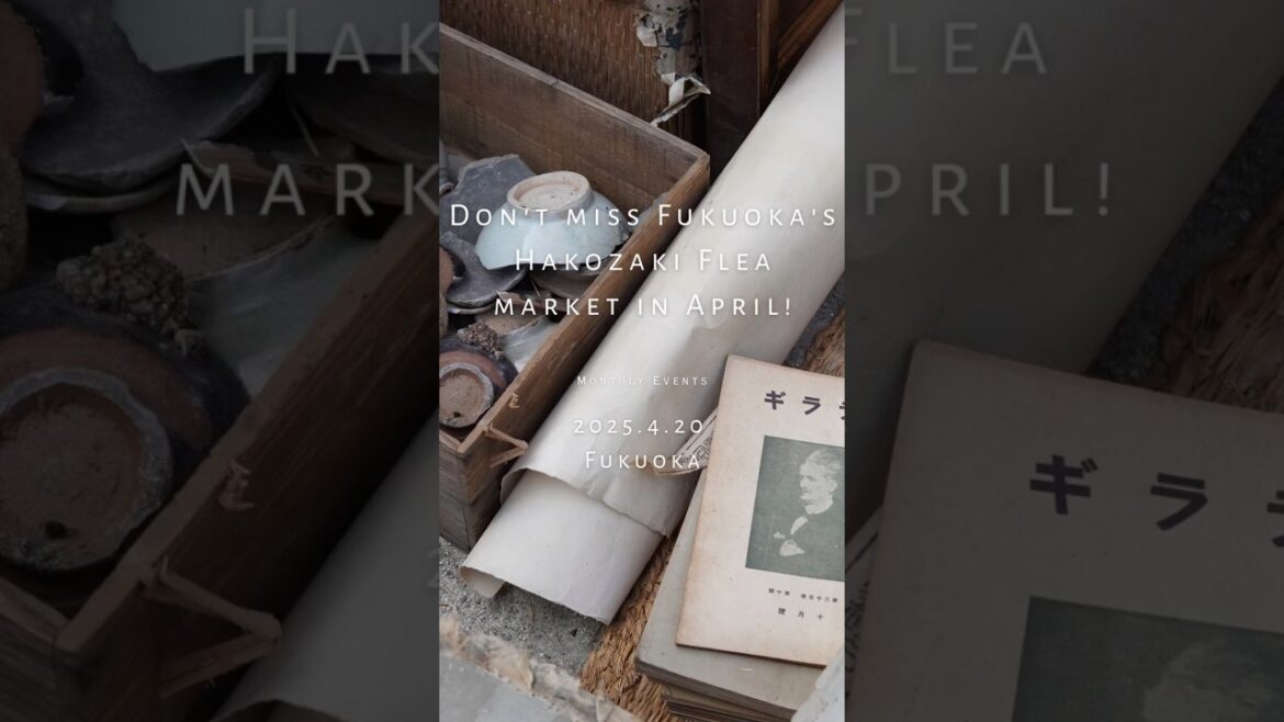 Fukuoka Weekend Fun - What's happening this April Weekend?