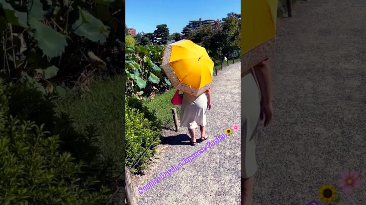 Summer Garden In Japan🇯🇵🌺 #shorts #japan #travel #garden #love #vibes #nature Summer Garden In Japan🇯🇵🌺 #shorts #japan #travel #garden #love #vibes #nature