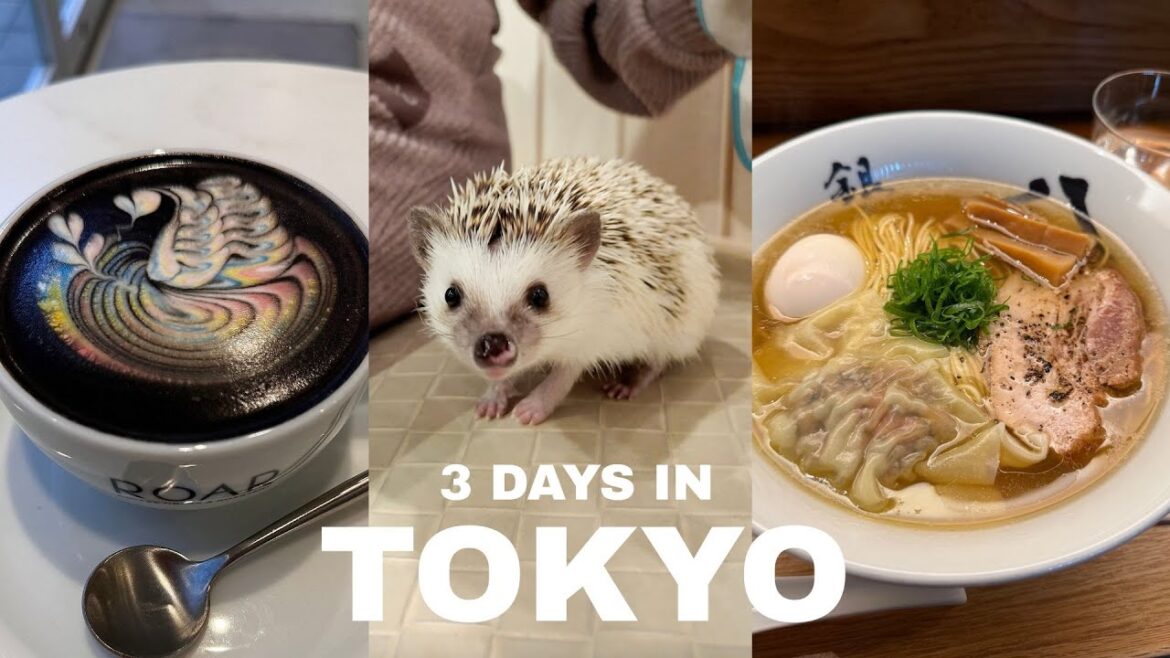 3 Days in Tokyo 🇯🇵 Pet Café, TeamLab, Omakase Food Tour & Art Museum | Japan Travel Vlog 2025 3 Days in Tokyo 🇯🇵 Pet Café, TeamLab, Omakase Food Tour & Art Museum | Japan Travel Vlog 2025