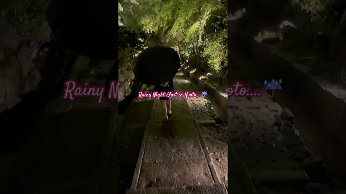 Rainy Night in Kyoto⛩️ #japan #shorts #wife #rain #romantic #travel #kyoto #vlog #garden