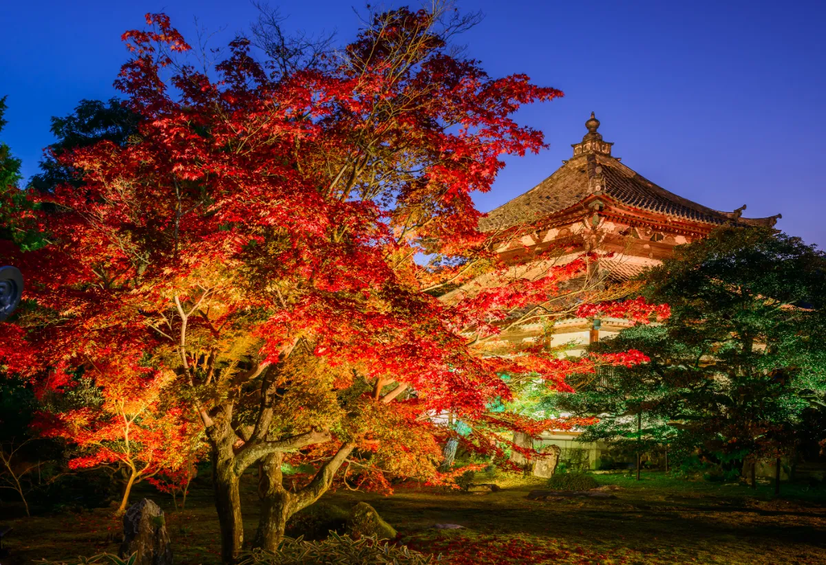 Rokuoin Temple