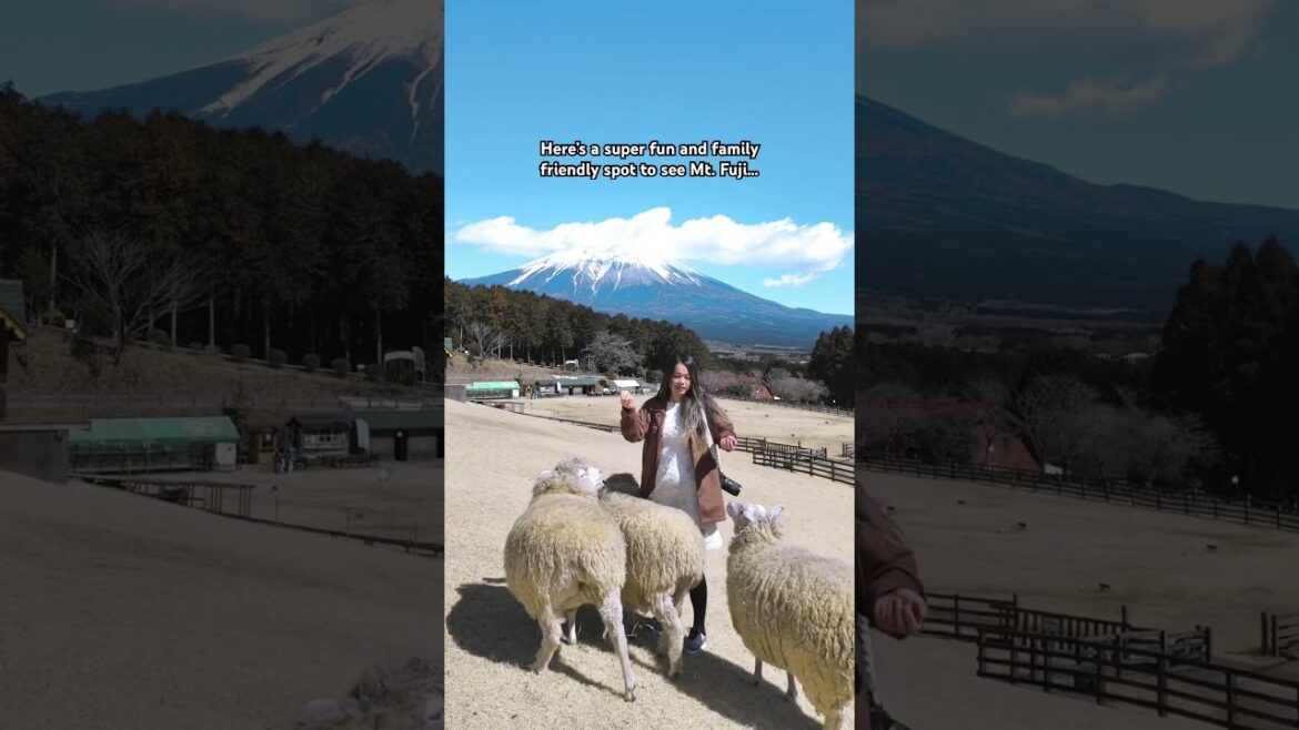 Family friendly place to see Mt. Fuji! 📍Makaino Farm まかいの牧場 #mtfuji #japantravel