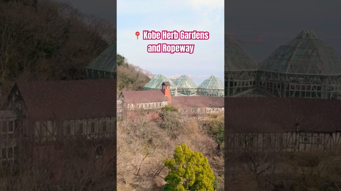 The Most Peaceful Gem in Kobe