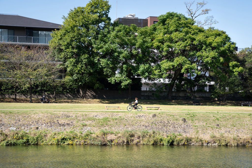 Cycling along the Kamo River