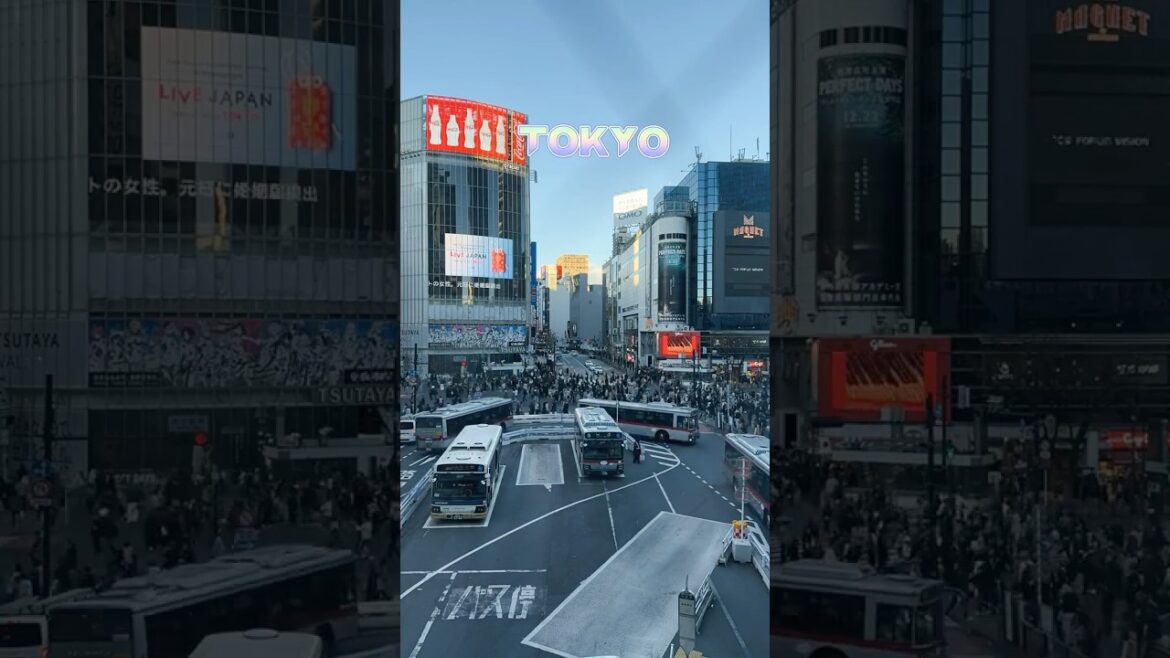 Tokyo in Motion | I Love New York #tokyo